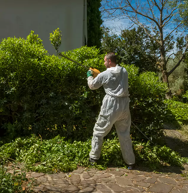 Why West Orange Pest Control Pro Leads Mosquito Control in West Orange, NJ?