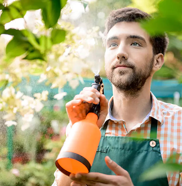 Why West Orange Pest Control Pro Is the Best Mosquito Control Company in West Orange, NJ?
