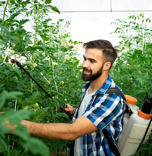 Why West Orange Homeowners Choose West Orange Pest Control Pro for Mosquito Spraying?