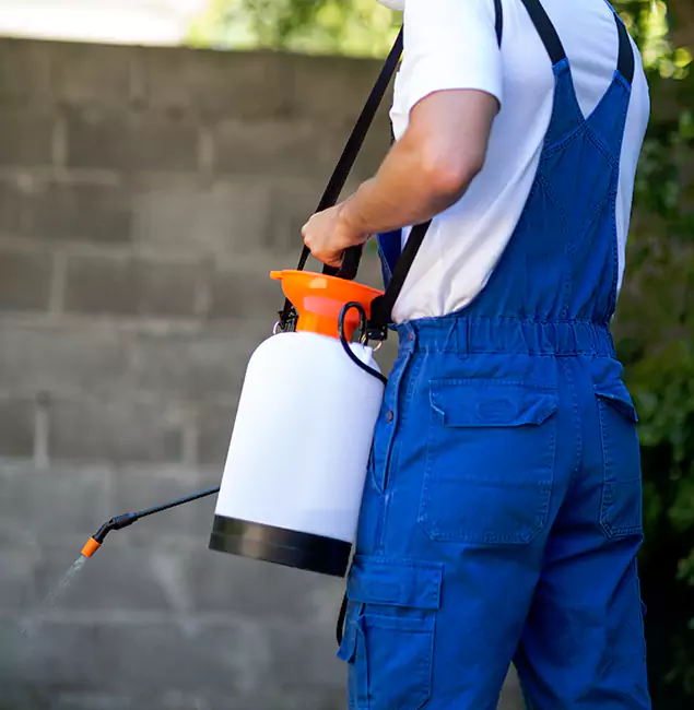 Why West Orange Pest Control Pro Delivers the Best Mosquito Control in West Orange, NJ?