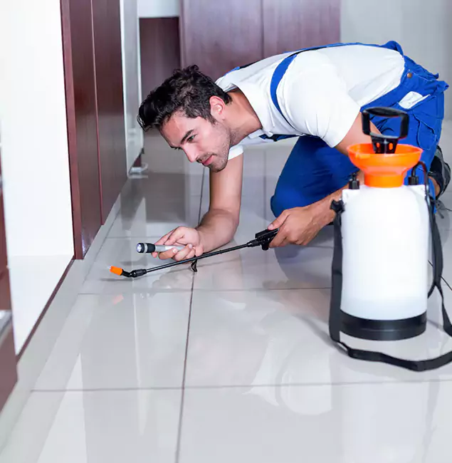 Why West Orange Pest Control Pro Is the Proven Choice in West Orange, NJ?