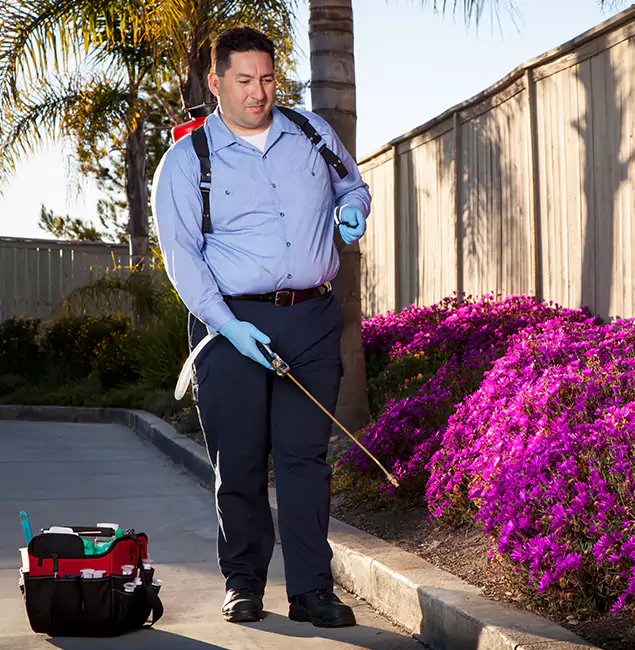 Why Choose West Orange Pest Control Pro in West Orange, NJ?