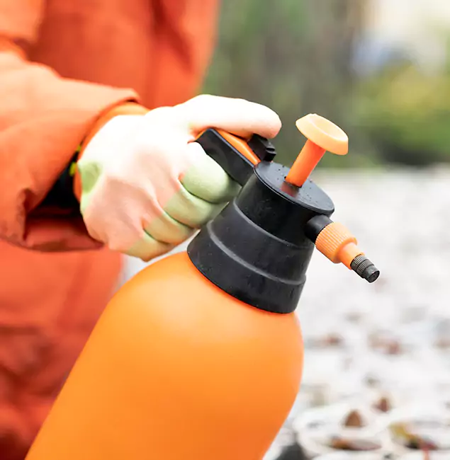 Why Choose West Orange Pest Control Pro for Orange Termite Treatment in West Orange, NJ?