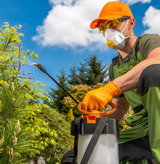 Why Choose West Orange Pest Control Pro for Outdoor Pest Control in West Orange, NJ?