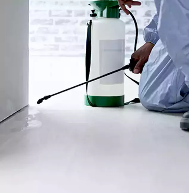 Why Choose West Orange Pest Control Pro for Rat Exterminator in West Orange, NJ?