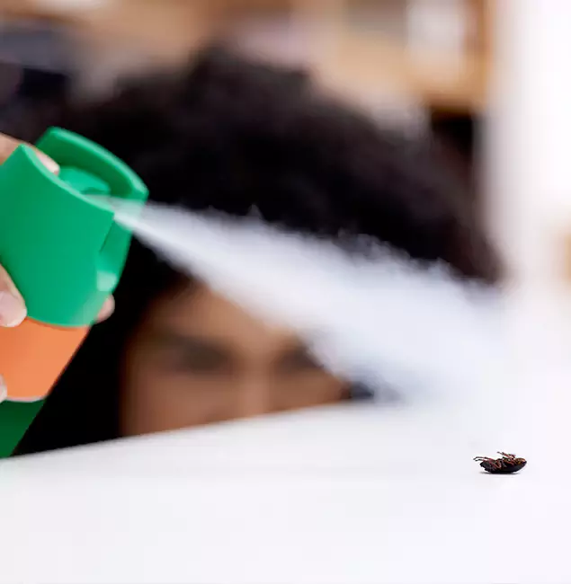 Why West Orange, NJ Homeowners Choose West Orange Pest Control Pro for Roach Pest Control?