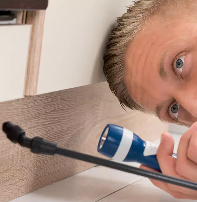 Why Choose West Orange Pest Control Pro for Rodent Exterminator in West Orange, NJ?