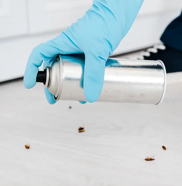 Why Choose West Orange Pest Control Pro for Safe Bed Bug Treatment in West Orange, NJ?