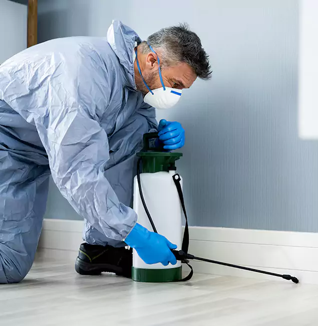 Why Choose West Orange Pest Control Pro for Subterranean Termites Treatment in West Orange, NJ?