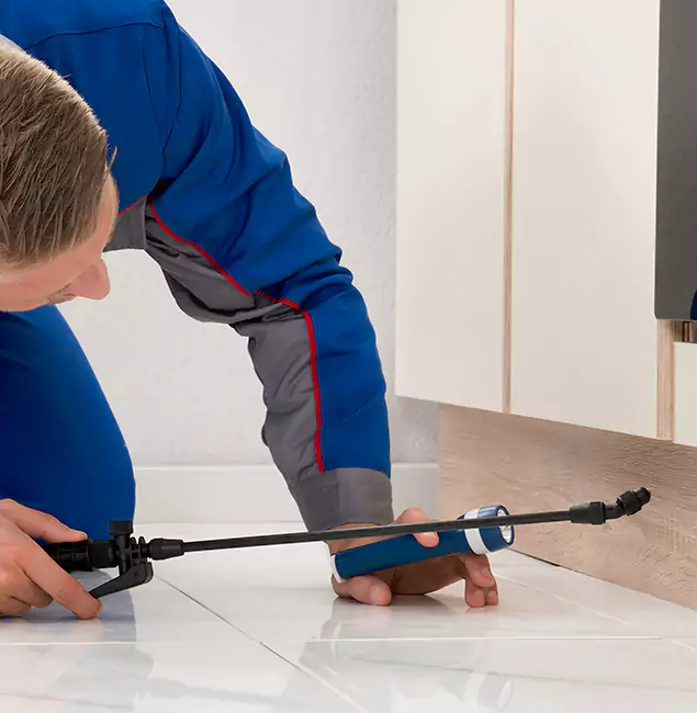 Why West Orange Residents Choose West Orange Pest Control Pro to Get Rid of Sugar Ants?
