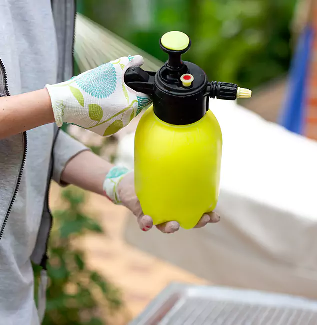 Why Choose Us: West Orange Pest Control Pro Termite Spraying Experts in West Orange, NJ?