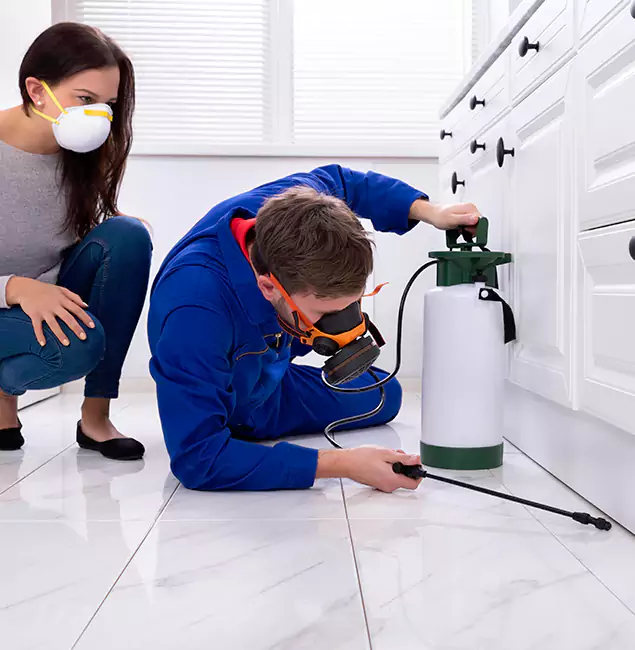 Why Choose Wood Termite Treatment by West Orange Pest Control Pro in West Orange, NJ?
