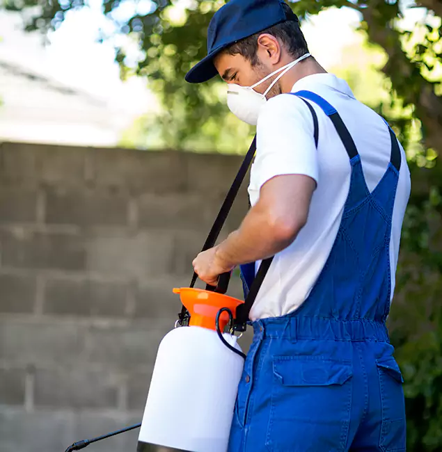 Why West Orange Pest Control Pro Is the Right Choice for Yellow Jacket Removal in West Orange, NJ?