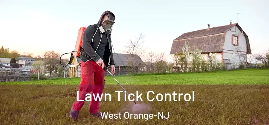 Lawn Tick Control West Orange-NJ