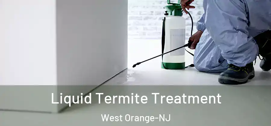 Liquid Termite Treatment West Orange-NJ
