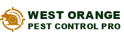 West Orange Pest Control Pro