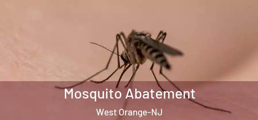 Mosquito Abatement West Orange-NJ