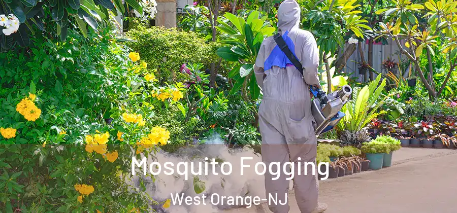 Mosquito Fogging West Orange-NJ