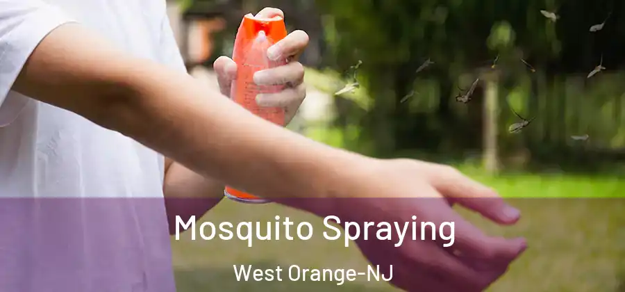 Mosquito Spraying West Orange-NJ