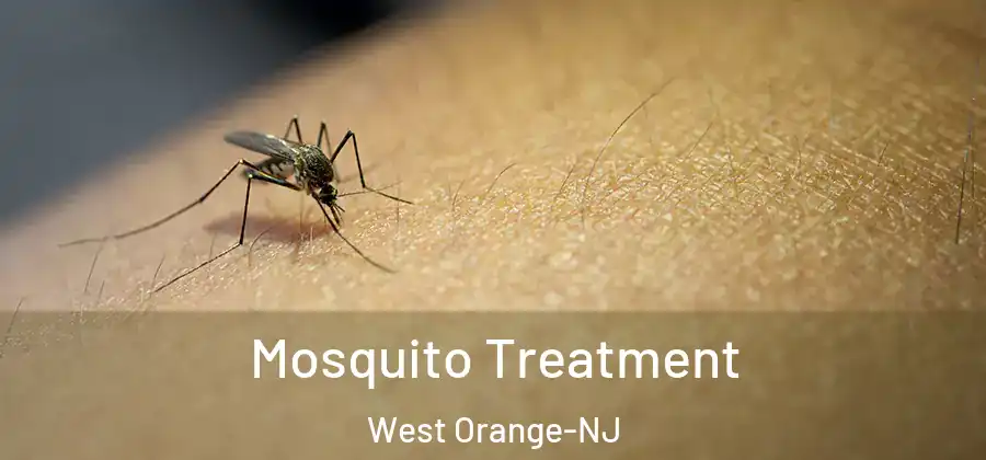 Mosquito Treatment West Orange-NJ