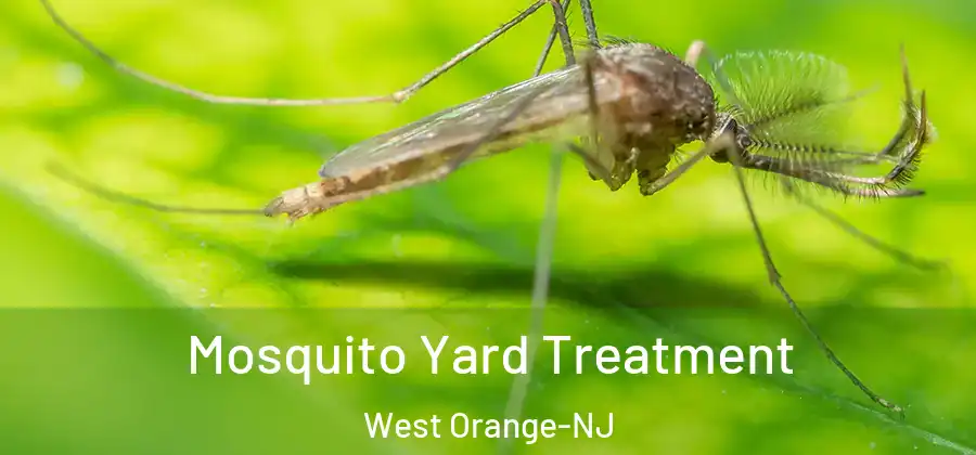 Mosquito Yard Treatment West Orange-NJ