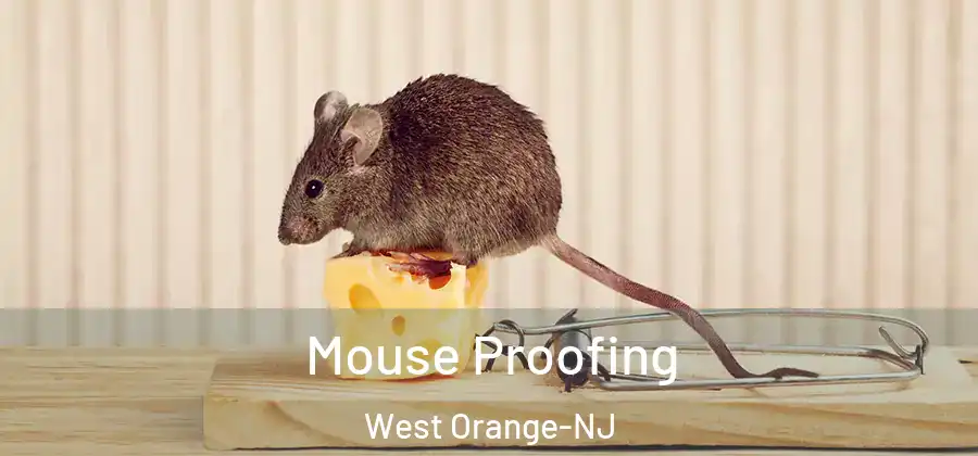 Mouse Proofing West Orange-NJ