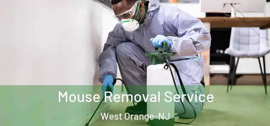 Mouse Removal Service West Orange-NJ