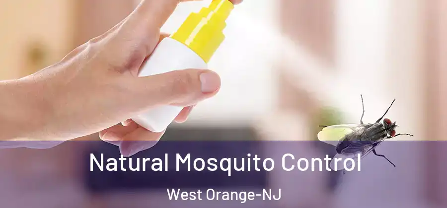 Natural Mosquito Control West Orange-NJ