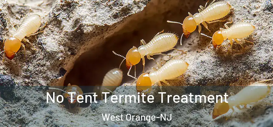 No Tent Termite Treatment West Orange-NJ