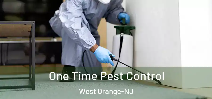 One Time Pest Control West Orange-NJ