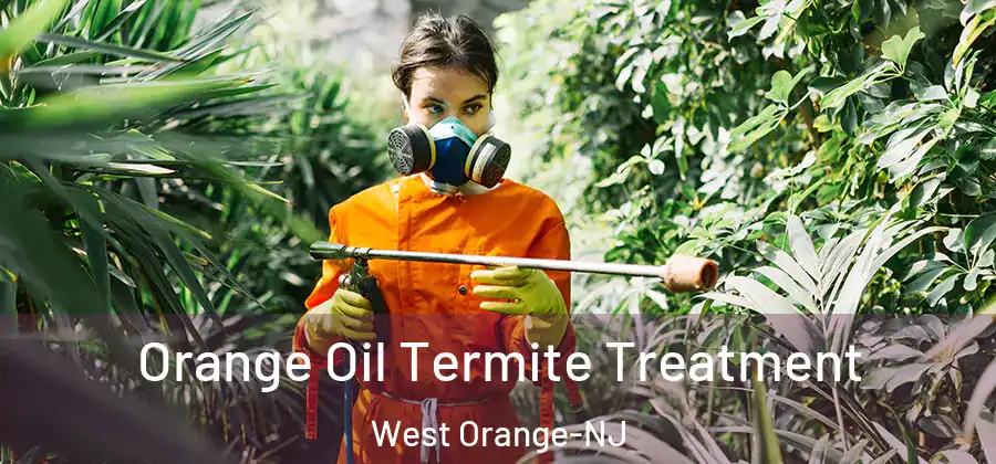 Orange Oil Termite Treatment West Orange-NJ