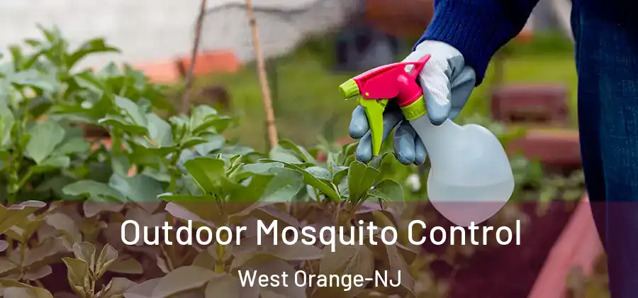 Outdoor Mosquito Control West Orange-NJ