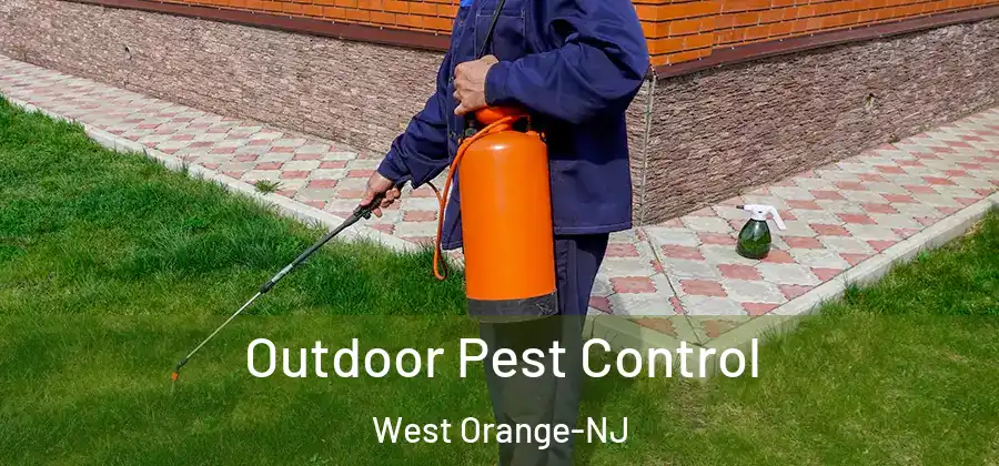 Outdoor Pest Control West Orange-NJ