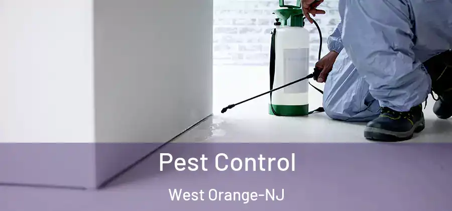 Pest Control West Orange-NJ