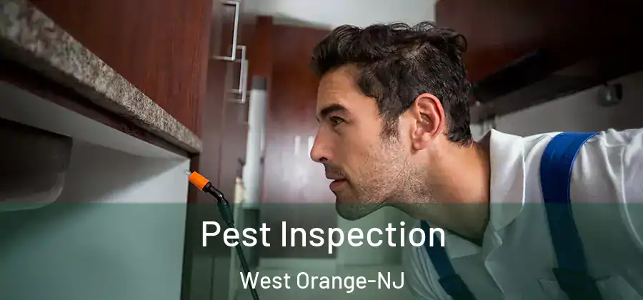 Pest Inspection West Orange-NJ