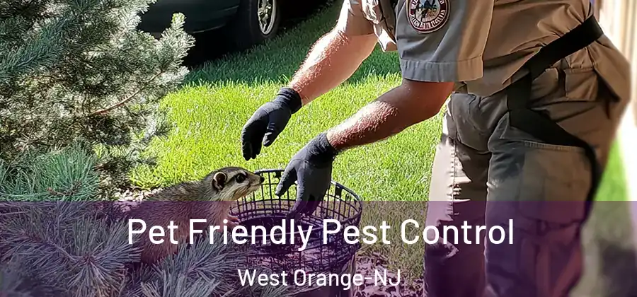 Pet Friendly Pest Control West Orange-NJ