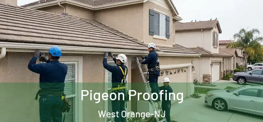 Pigeon Proofing West Orange-NJ