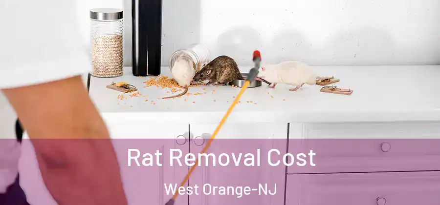 Rat Removal Cost West Orange-NJ