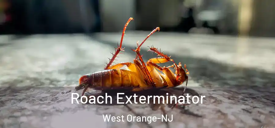 Roach Exterminator West Orange-NJ