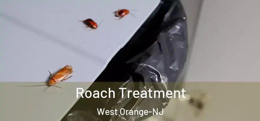  Roach Treatment West Orange-NJ