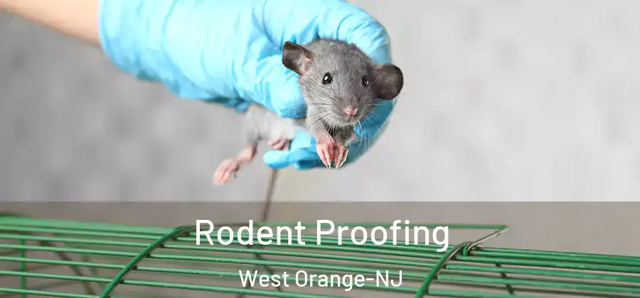  Rodent Proofing West Orange-NJ