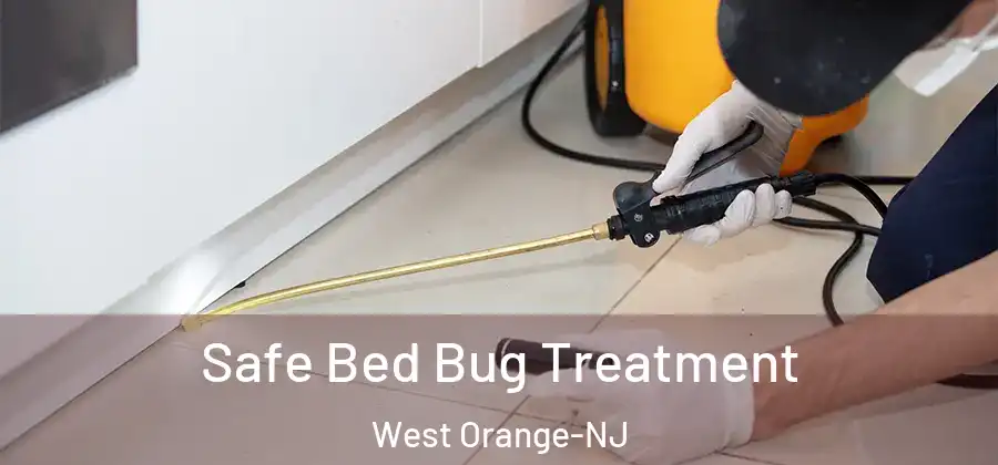  Safe Bed Bug Treatment West Orange-NJ