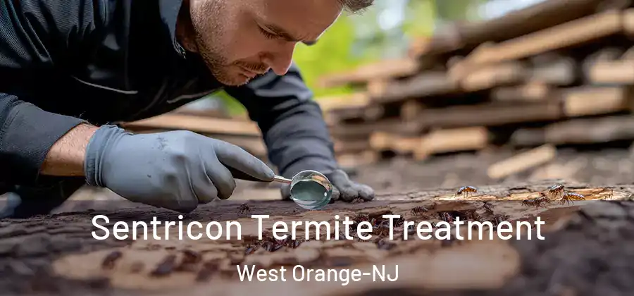  Sentricon Termite Treatment West Orange-NJ