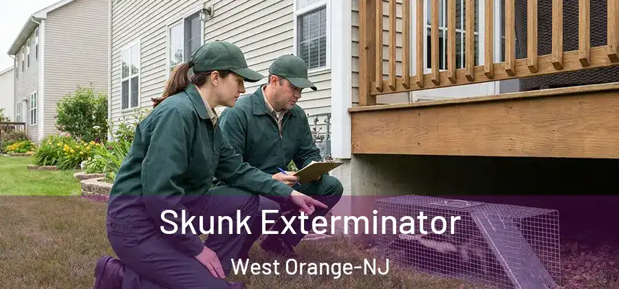 Skunk Exterminator West Orange-NJ