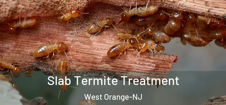 Slab Termite Treatment West Orange-NJ