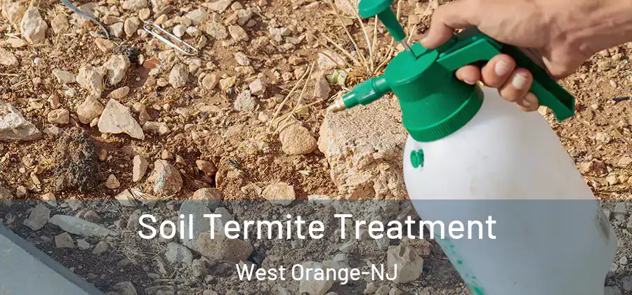 Soil Termite Treatment West Orange-NJ
