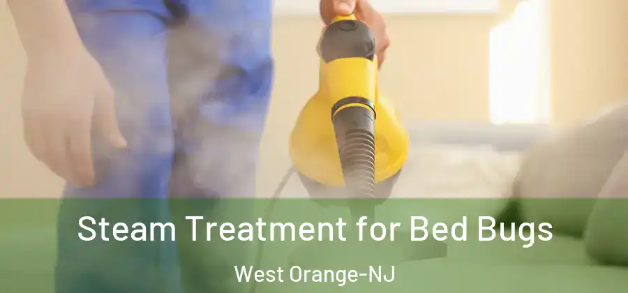 Steam Treatment for Bed Bugs West Orange-NJ