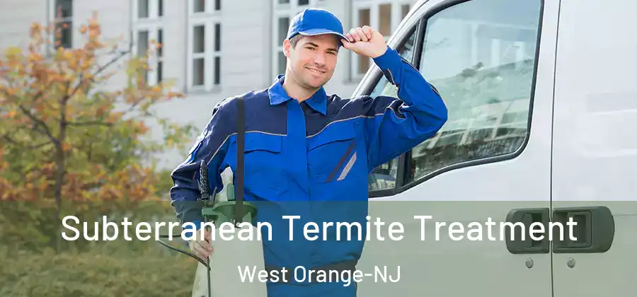 Subterranean Termite Treatment West Orange-NJ