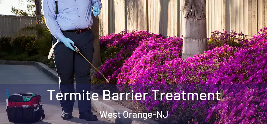 Termite Barrier Treatment West Orange-NJ