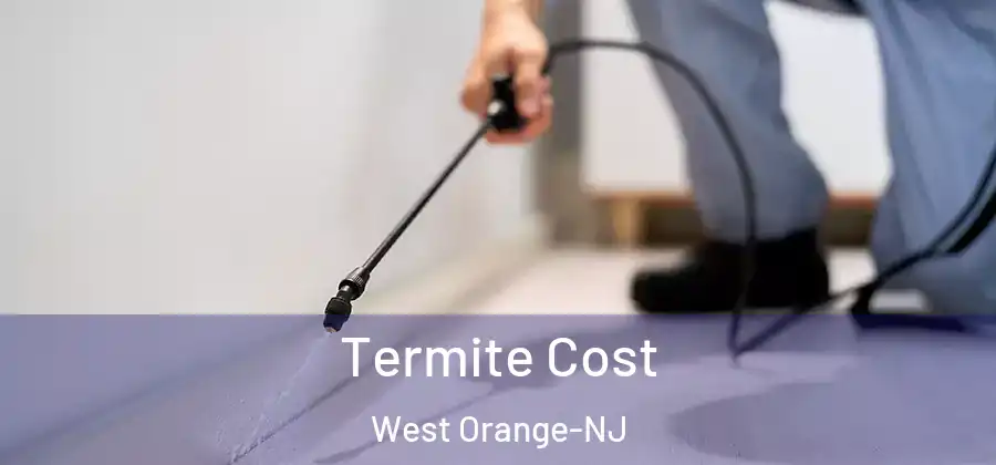  Termite Cost West Orange-NJ